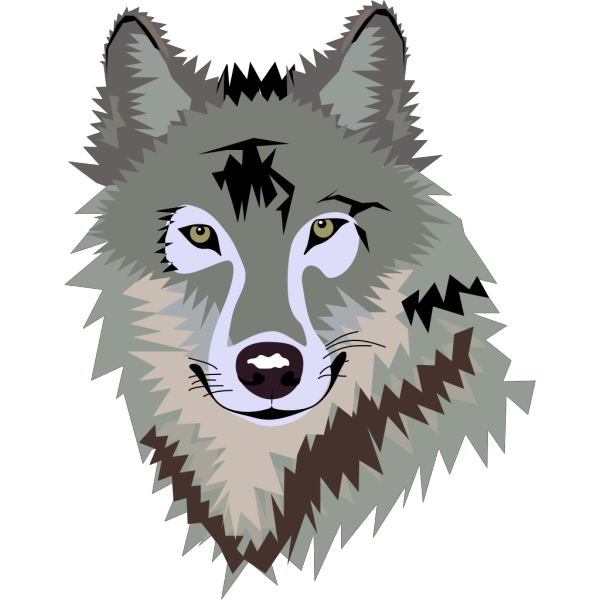 Wolf PNG Clip art