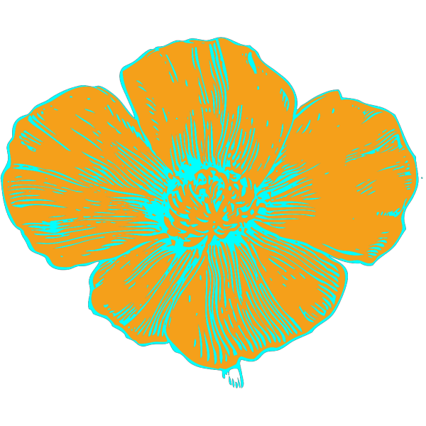 Orange And Blue Poppy PNG Clip art