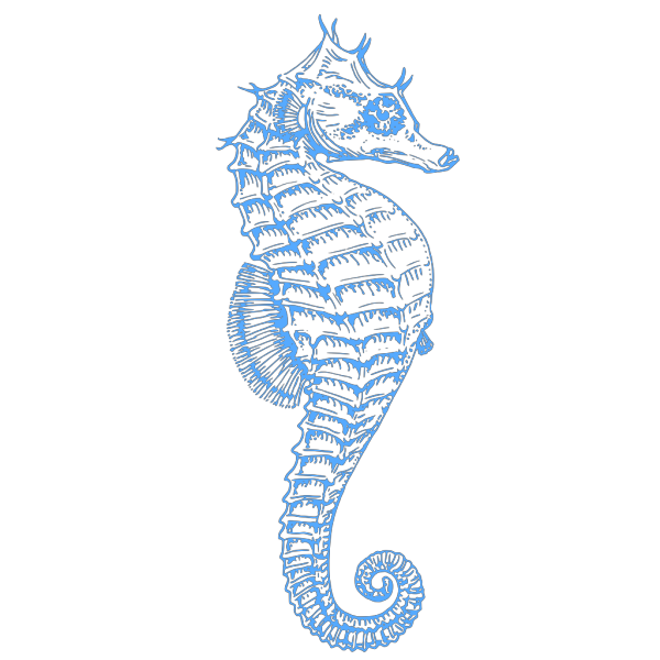 Blue Seahorse PNG Clip art