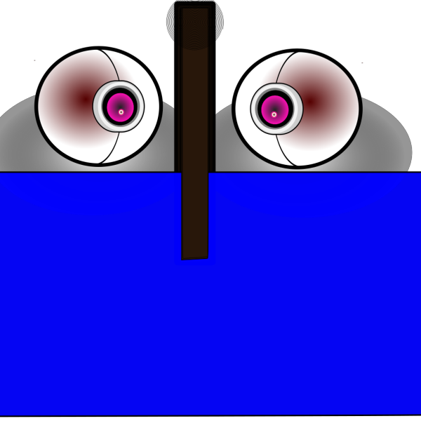 Double Eye PNG Clip art