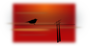 Bird On Wire PNG Clip art