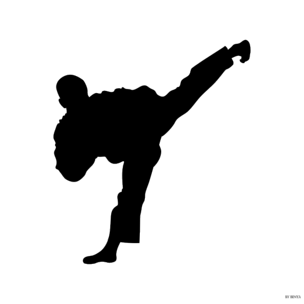 Tae Kwon Do Silhouette PNG Clip art