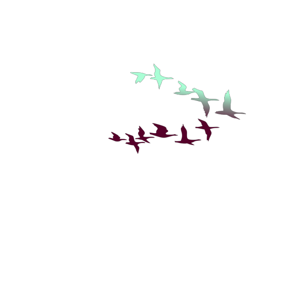 Gray Birds In Flight PNG Clip art