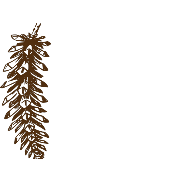 Pinecone PNG Clip art