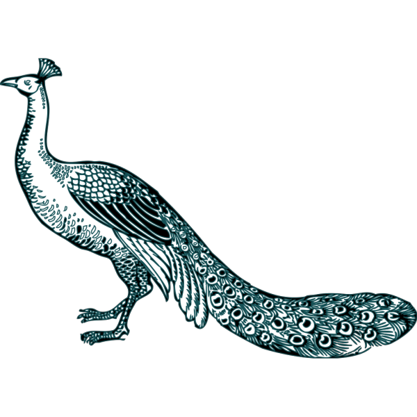 Black And Teal Peacock PNG Clip art