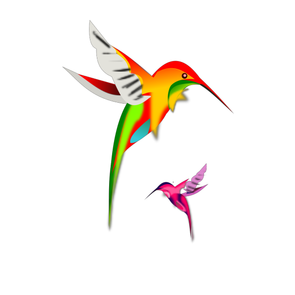 Colibri PNG Clip art