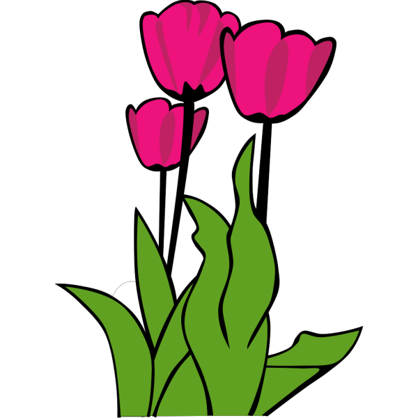 Tulips In Bloom PNG Clip art