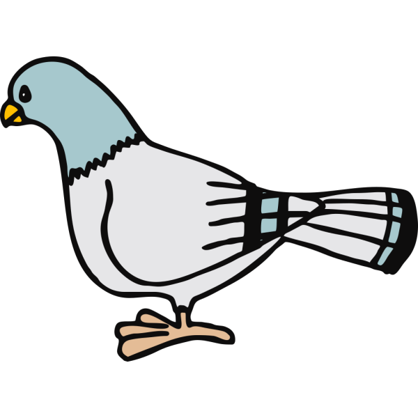 Pigeon 1 PNG Clip art