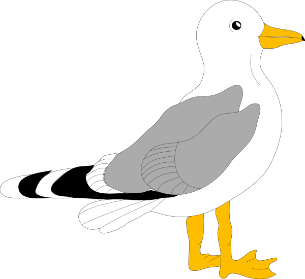 Gull PNG Clip art