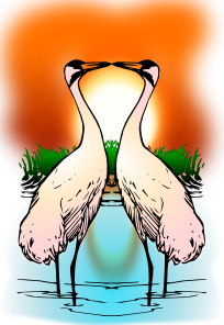 Valessiobrito Two Love Whooping Crane PNG Clip art