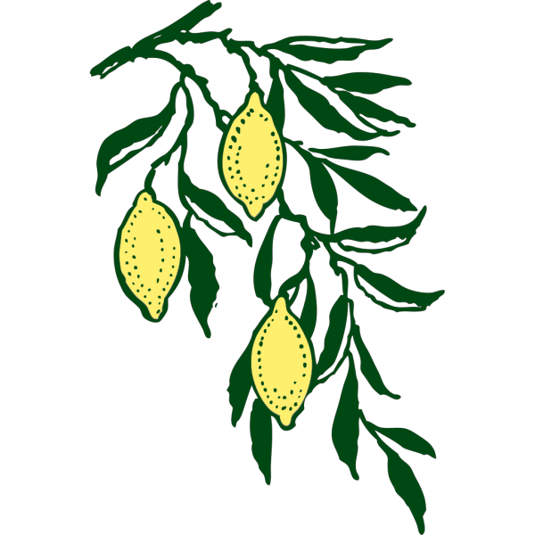 Lemon Branch PNG Clip art