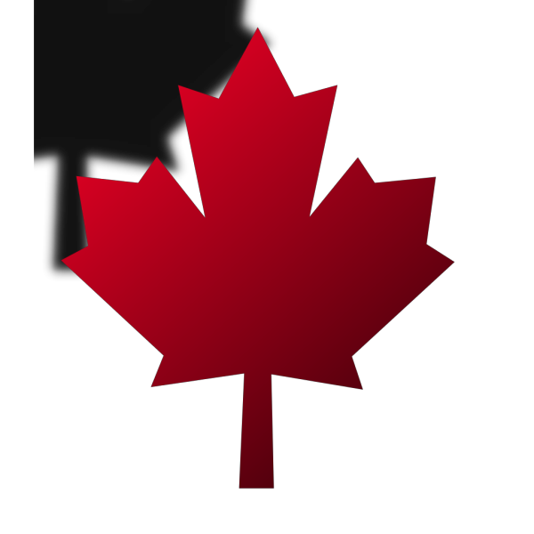 Maple Leaf PNG Clip art