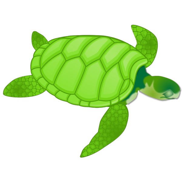 Green Sea Turtle PNG Clip art