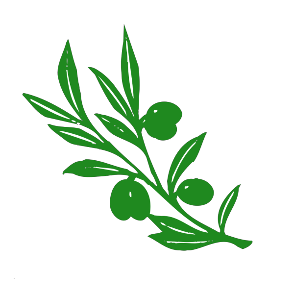 Olive Tree Branch PNG Clip art