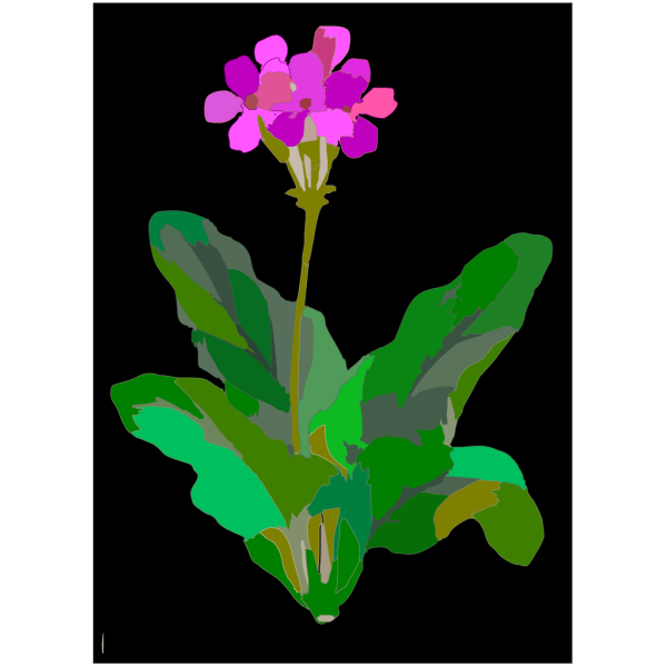 Floral Mod PNG images
