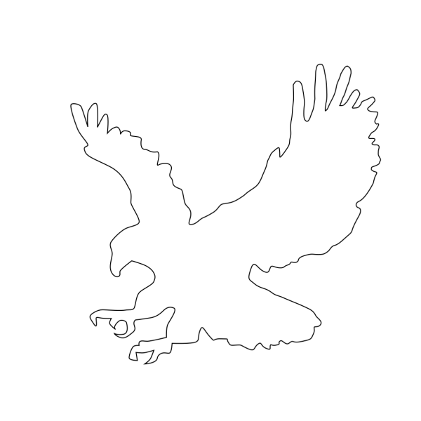 Bald Eagle PNG Clip art