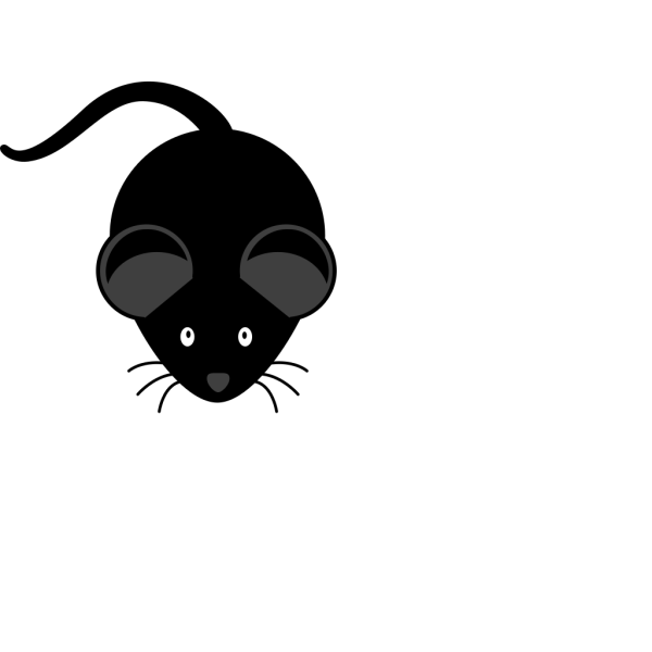 Black Mouse C57bl/6 PNG Clip art