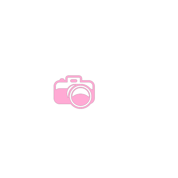 Pink Camera PNG Clip art
