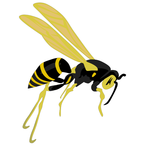 Flying Wasp 2 PNG Clip art