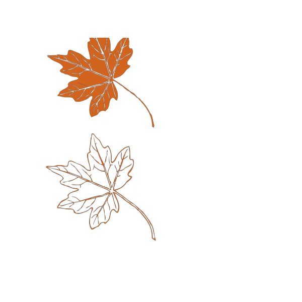 Beech Leaf Outline PNG Clip art