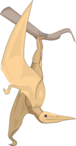Pterodactylus Hangin From A Branch PNG Clip art