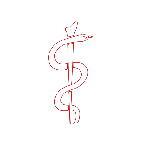 Rod Of Asclepius Outline PNG Clip art