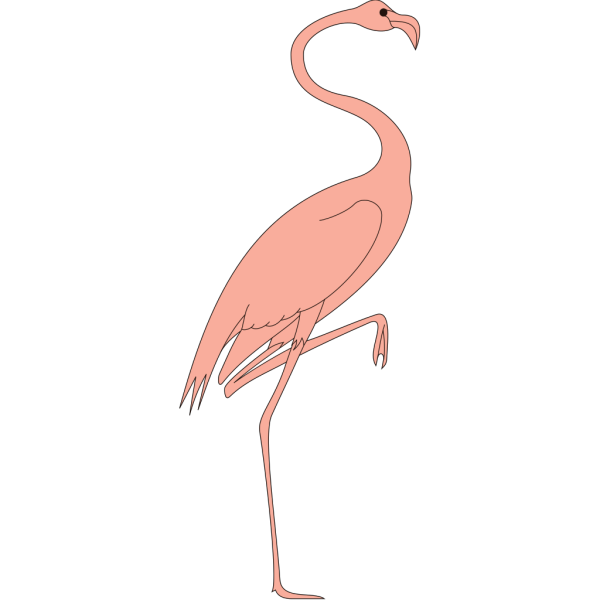 Flamingo With Leg Raised PNG Clip art