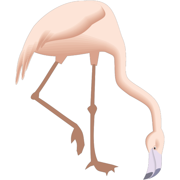 Flamingo Bending Down PNG Clip art