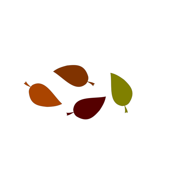 Autumn Leaf Colors PNG Clip art