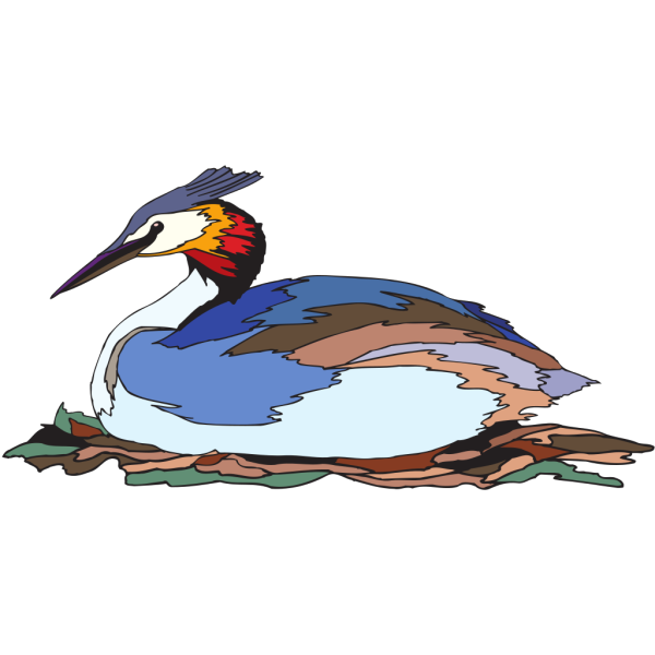 Resting Grebe PNG Clip art