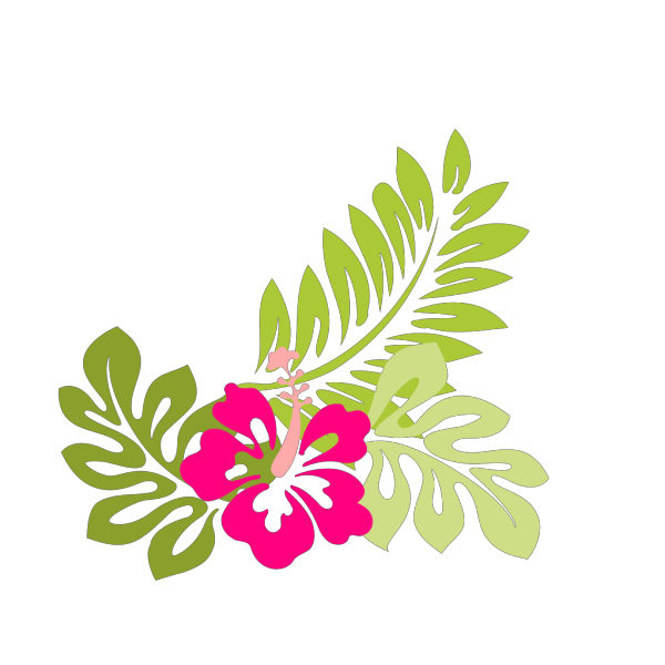 Hibiscus Flower Outline Pink PNG Clip art