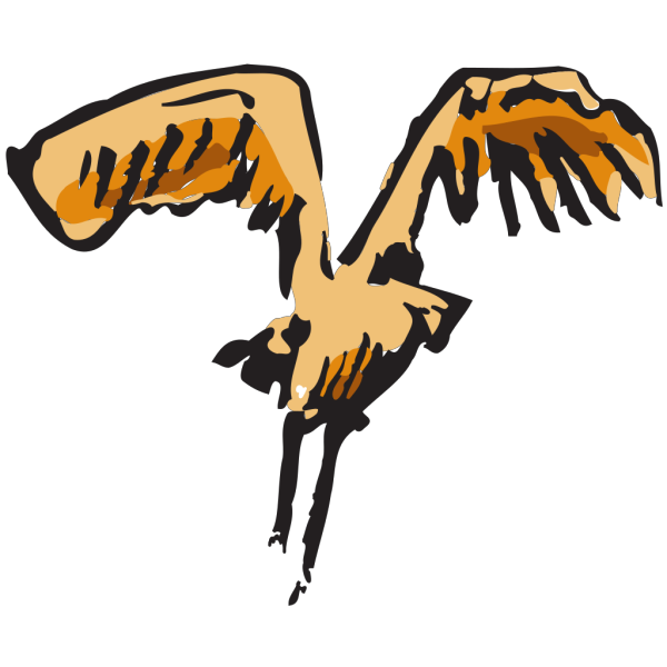 Landing Bird Art PNG Clip art