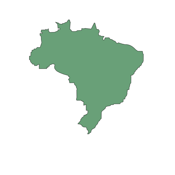 Brazil World Champion PNG Clip art