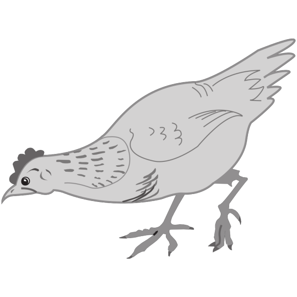 Grayscale Chicken Eating PNG Clip art