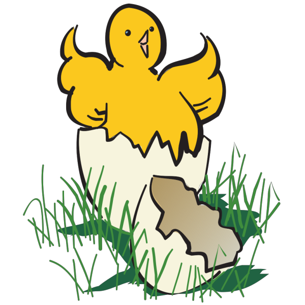 Baby Chick Hatching PNG Clip art