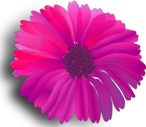 Pink Flower 13 PNG Clip art