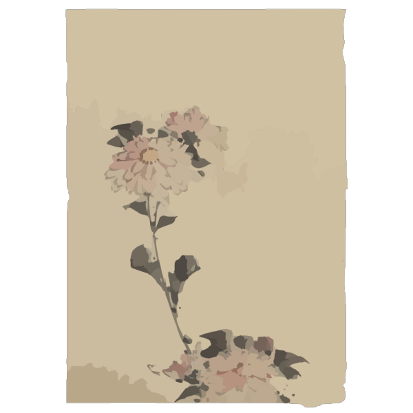 [pink Flower Blossoms On Low Stalk And Two On A Tall Stalk] PNG Clip art