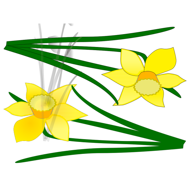 Two Flowers PNG Clip art
