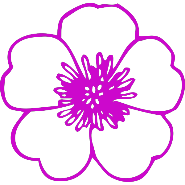Pink Flower 5 PNG Clip art