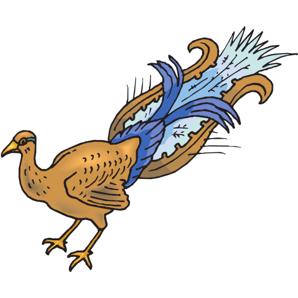 Plucked Peacock PNG Clip art