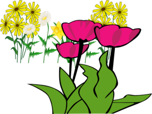 Some Flowers PNG Clip art