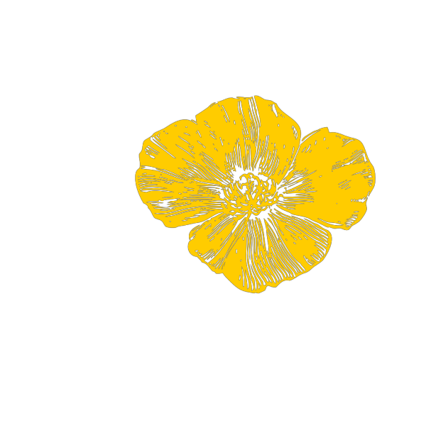 Yellow Poppy2 PNG Clip art
