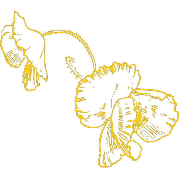 Yellow Poppy Hanging PNG Clip art