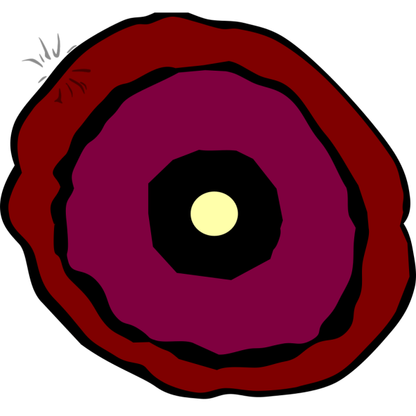 New Layered Poppy PNG Clip art