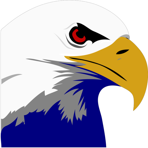 Soaring Bald Eagle PNG Clip art