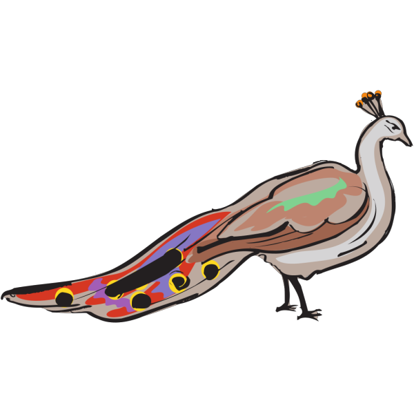 Colorful Peacock PNG Clip art