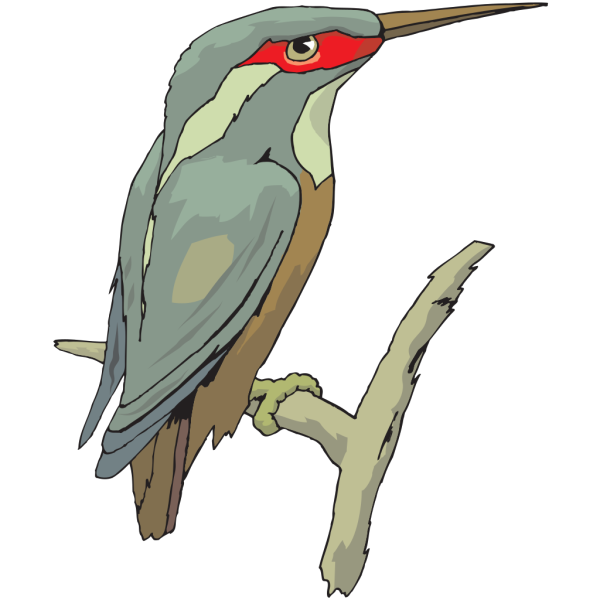 Perched Kingfisher PNG Clip art