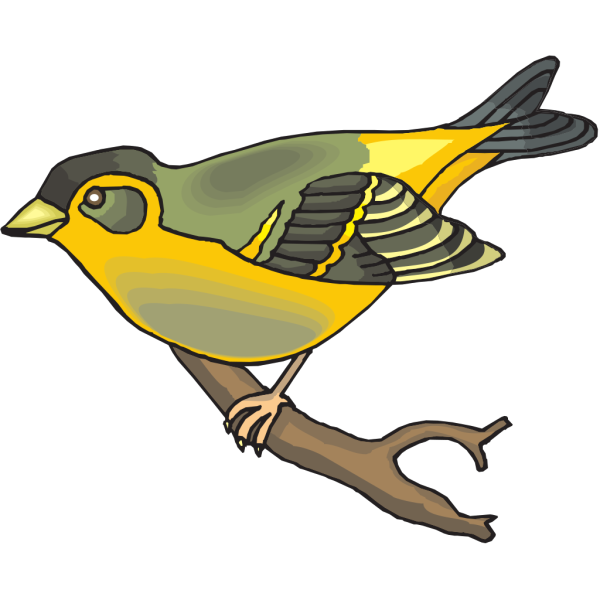 Goldfinch PNG, SVG Clip art for Web - Download Clip Art, PNG Icon Arts