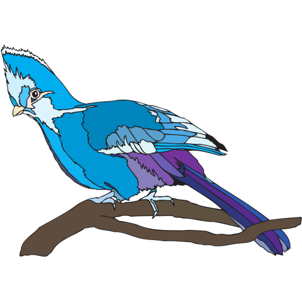 Turaco PNG Clip art