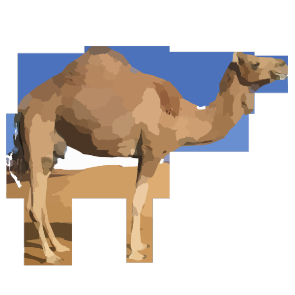 Camel PNG Clip art